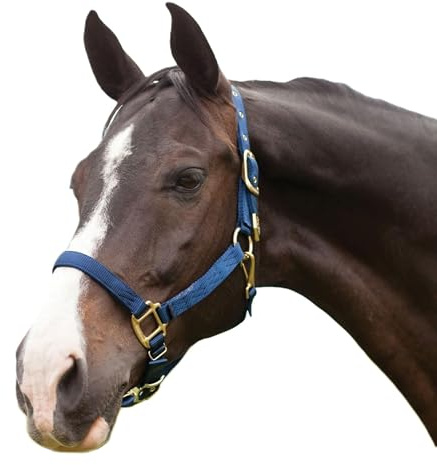 Hamilton Deluxe Horse Halter, 1 Triple Ply Nylon, Adjustable Chin Strap, Easy On/Off Throat Snap, Average Horse, Arabian, or Yearling Draft, 800-1100 lbs, Navy Blue