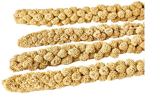 Padovan Panico in spiga - Alimento per Uccelli - Confezione da 250 gr