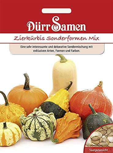 Dürr-Samen - Zierkürbis Sonderformen Saatgut