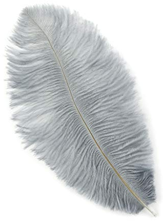 Zucker 12pc Ostrich Feather Craft Supplies - 4-8 inch (10-20 cm) Natural Colorful DIY Wedding Home Decor - Silver Grey