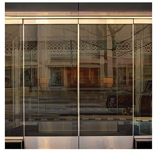 BDF BRZ35 Window Film Sun and Heat Control Bronze 35 (Medium) - 36in X 7ft