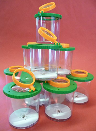 WIM-SHOP 10-STÜCK Maxi BECHERLUPE Lupendose ø6cm in TOP QUALITÄT