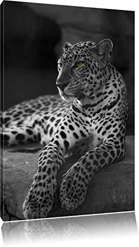 Leopard vigilant sur les roches situées noir / blanc Taille: 80x60 sur toile, XXL énormes Photos complètement encadrée avec civière, impression d'art sur murale avec cadre, moins cher que la peinture ou la peinture à l'huile, pas une affiche ou une bannière,