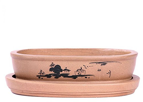 Bonsai - Schale + Untersetzer mit Motiv, 25 x 18 x 6,5 cm oval 31085