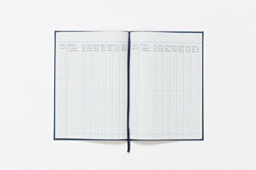 Guildhall Spaltenbuch Serie 31 6 Finanzspalten 80 Blatt 298 x 203 mm