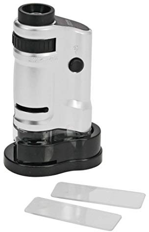 SAFE 4672 Zoom Taschenmikroskop | stufenlose 20 - 40 fache Vergrößerung mit LED-Leuchten inklusive Batterien | geeignet für die Beobachtung von Briefmarken, Münzen, Schmuck, Mineralien | Abmessungen ca. 10 x 5,5 x 3 cm