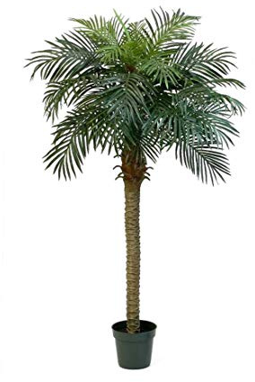 artplants.de Konstgjord fenixpalm, 28 palmblad, 180 cm