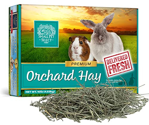 Small Pet Select Orchard Grass Hay Pet Food for Rabbits, Guinea Pigs, Chinchillas and Other Small Animals, Premium Natural Hay Grown in The US, 10 LB