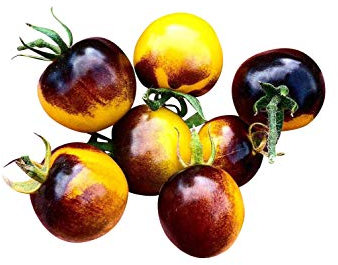 Tomate -Antho Gelb- 10 Samen -Super Lecker & Süß- *Sehr Gesund*