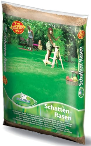 Pegasus Schatten-Rasensamen, 1 kg für 25qm, 622388 – Schattenrasen für dichte Rasenteppiche, schnellkeimend, ideal für schattige Lagen, langlebig, Rasensaat