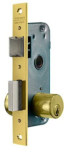 Tesa Assa Abloy 200030HL Cerradura De Embutir Para Puertas De Madera Bronce (Latonado) Entrada 30 mm 2000