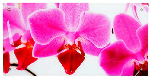 Mendler Glasbild T115, Wandbild Poster Motiv, 50x100cm - Orchidee