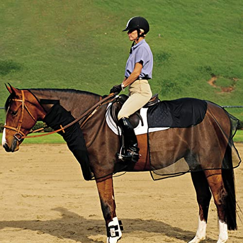 Cashel Quiet Ride Horse Bug Armor Bundle Set