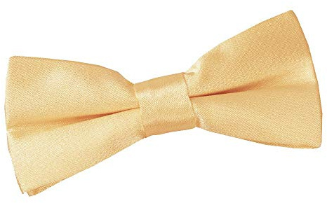 DQT Boys Plain Satin Pre-Tied Wedding & Formal Bow Tie | Glossy Finish, Adjustable Neck Strap, Suit and Waistcoat Accessory, Pageboys, Christenings, Communions, Proms and Parties