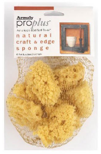 ProPlus Natural Craft and Finishing Sponge