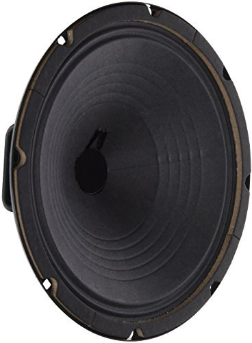 Jensen Vintage P10R16 10-Inch Alnico Speaker, 16 Ohm