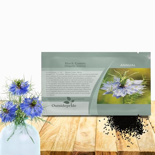 Outsidepride Black Cumin Seeds for Planting - 1000 Pcs Annual, Aromatic Spice, Easy to Grow, Flavorful Seeds for Culinary & Traditional Spice and Herb Gardens, Versatile & Low-Maintenance