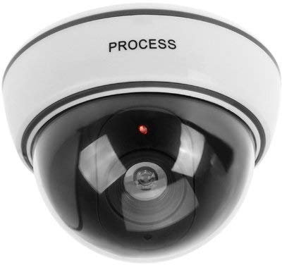BW Fake Dummy Dome CCTV Security Camera Flashing LED Indoor Outdoor New White