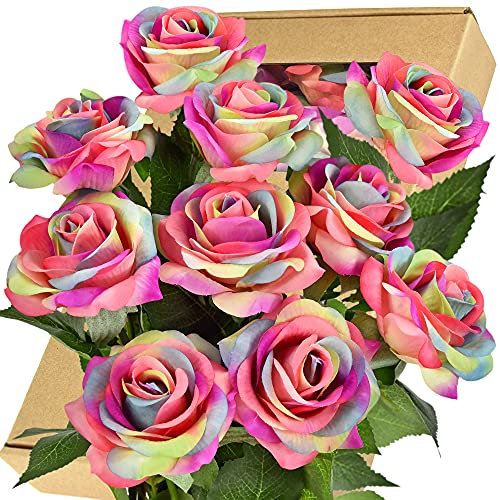 FiveSeasonStuff 10 Stems Real Touch Roses Artificial Flower Silk Roses ‘Petals Feel and Look like Fresh Roses' Bouquet of Flowers Floral Arrangements (Rainbow #17)
