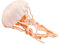 Toob S265529 Safari Incredible Creatures Qualle Miniatur (Mehrfarbig)