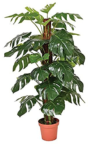 Catral 74010020 Planta artificial Monstera, 22.0x22.0x135.0 cm