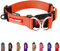 EzyDog Double Up Dog Collar - Reflective Dog Collar with ID Tag D-Ring, For Small to Large Dogs - Soft-Touch, Reflective, Durable - For Active Pets