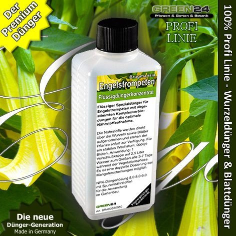 Brugmansia, Datura (Ange de Trompettes) Engrais liquide HIGHTECH NPK, Racine sol engrais Foliaire – Engrais professionnel