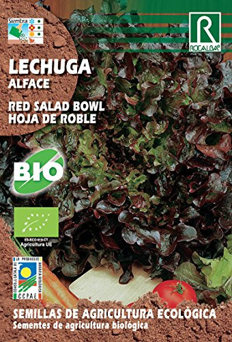 Semillas ECOLOGICAS Lechuga Red Salad Bowl - Hoja de Roble 4gr.
