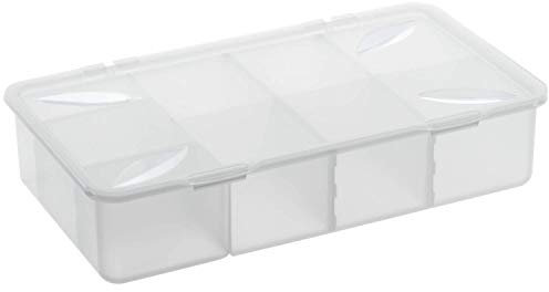 Rotho Snappy Aufbewahrungsbox 3l mit Einteilungen und Deckel, Kunststoff (PP) BPA-frei, transparent, 3l (33.9 x 19.8 x 7.6 cm)