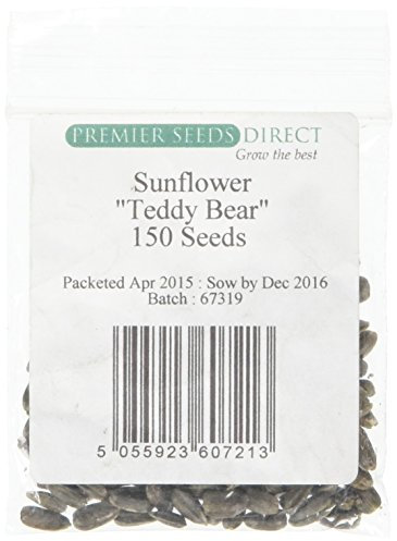 PREMIER SEEDS DIRECT - SUNFLOWER SEEDS - TEDDY BEAR - 140 FINEST SEEDS