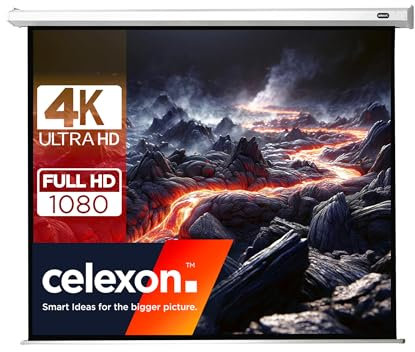 Celexon Economy - Schermo motorizzato da proiezione, formato 4:3, adatto al montaggio a parete e a soffitto, 220 x 165 cm
