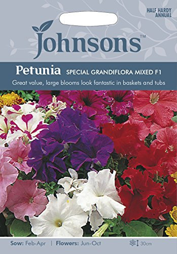 Johnsons 20977 Flower Seeds, Petunia Special Grandiflora Mixed F1