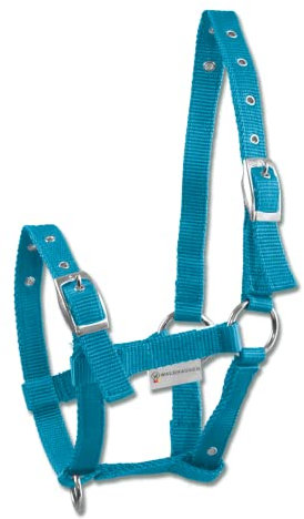 WALDHAUSEN Fohlenhalfter Triple, blau
