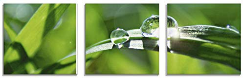 ARTland Wanddeko Glasbilder Wandbild Glas Bild Set 3 teilig je 30x30 cm Quadratisch Natur Botanik Pflanzen Gräser Wassertropfen Gras Sommer Sonne Grün T5SE
