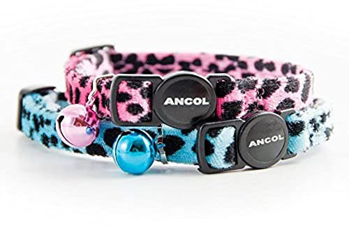 Ancol Safety Cat Collar in Turquoise Leopard Print - Comfortable Pet Accessory with Break Away Buckle - Kitten Training Walking Neckband