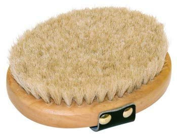 Kerbl Schmusebürste (oval) mit Holz- rücken, Rosshaar Brush&Co
