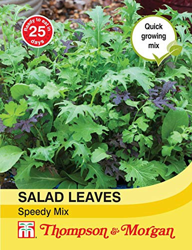 Thompson & Morgan - Vegetables - Salad Leaves - Speedy Mix - 500 Seed
