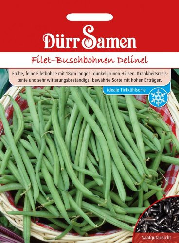 Dürr-Samen - Buschbohnen Delinel Saatgut