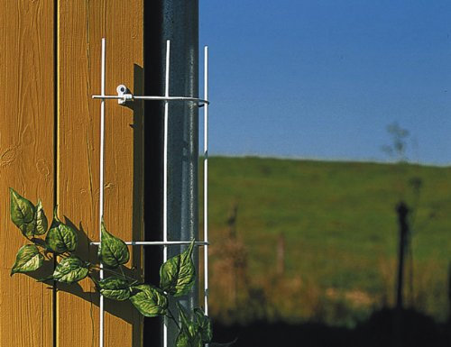 Siena Garden 763770 - Producto para Cultivo