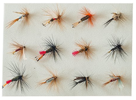 Trockenfliegen Angel Set 12 gebundene Fliegen Forellenköder Kunstköder Forelle Trout Insekten Imitat