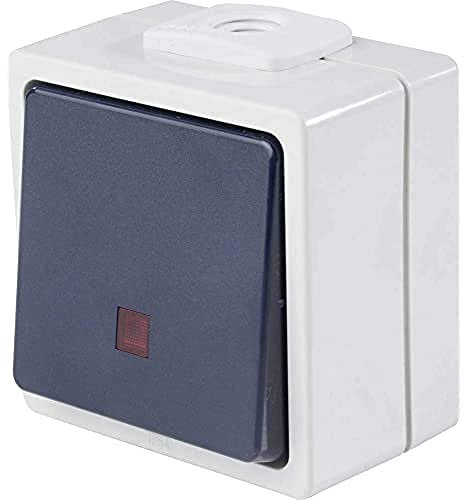 as - Schwabe Kontrollschalter - Taster/Schließer beleuchtet - Aufputz - Lichtschalter Feuchtraum - UV-beständig - Anschluss Leitungen bis max. 2,5mm² - 230V/10A - IP54 - grau - Made in Germany, 62453