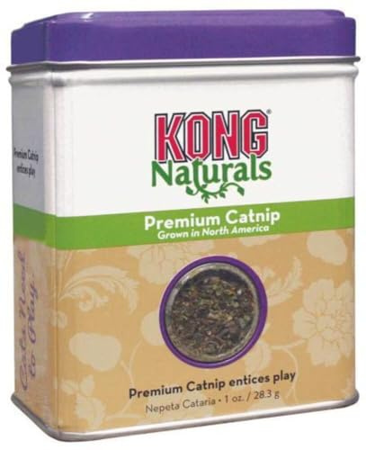 Kong - påfyllningspaket för kattmynta - 1 bit