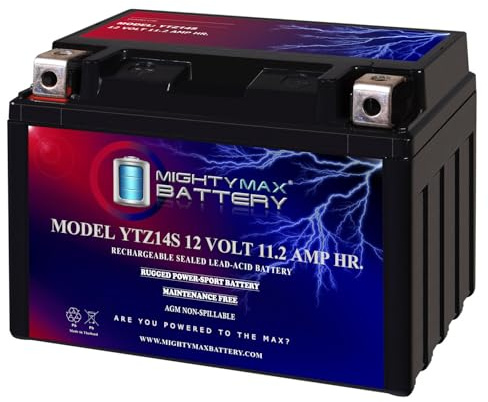 Mighty Max Battery YTZ14S -12 Volt 11.2 AH, 230 CCA, Rechargeable Maintenance Free SLA AGM Motorcycle Battery