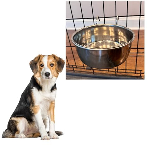 SPOT Coop Cup Wire Hanger - Stainless Steel Hanging Bowl for Pet Crates, Easy Install, Chew-Proof, Removable Water/Kibble Bowl for Medium Dogs, Cats, Large Birds, Reptiles - 3.75 Cups (30 Oz)