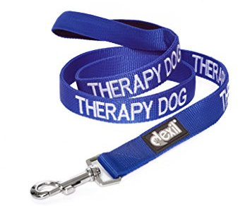 Dexil Limited THERAPY DOG Blue Colour Coded 60cm 120cm 180cm Padded Dog Lead PREVENTS Accidents By Warning Others of Your Dog in Advance (120cm)