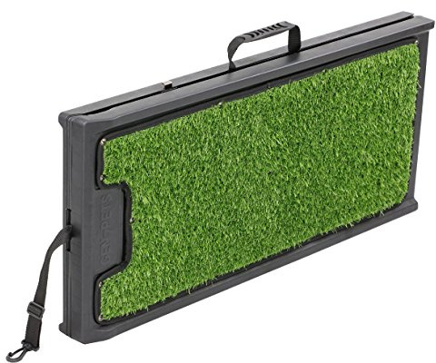 GEN7PETS Natural Step Ramp for Vehicles, 72 Inch,Green