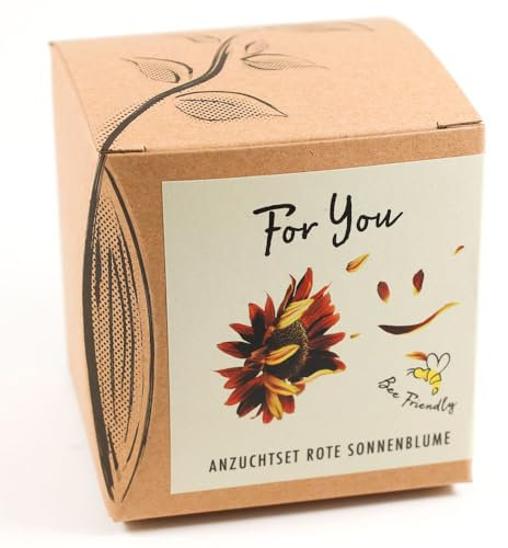 Set regalo per la coltivazione di girasole, rosso sera, con pentola, substrato e istruzioni per la coltivazione