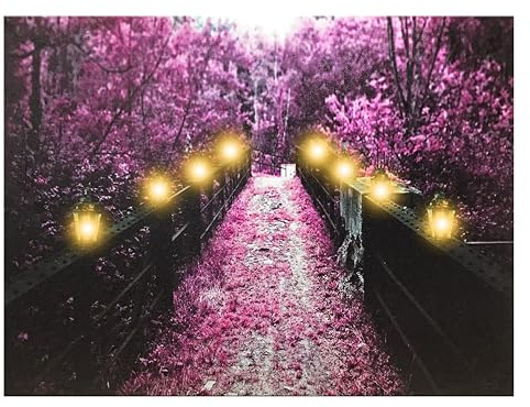 BANBERRY DESIGNS LED Wall Art - Lighted Pathway Canvas Print - Wooden Bridge Flowers and Lights - Floral Home Decor - Flickering Lights - Lighted Wall Print - Measures 12 x 16.