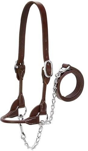 Weaver Leather Livestock Dairy/Beef Rounded Show Halter Brown,Small