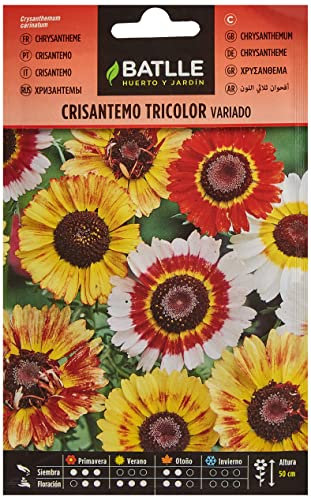 Semillas Batlle Crisantemo Tricolor